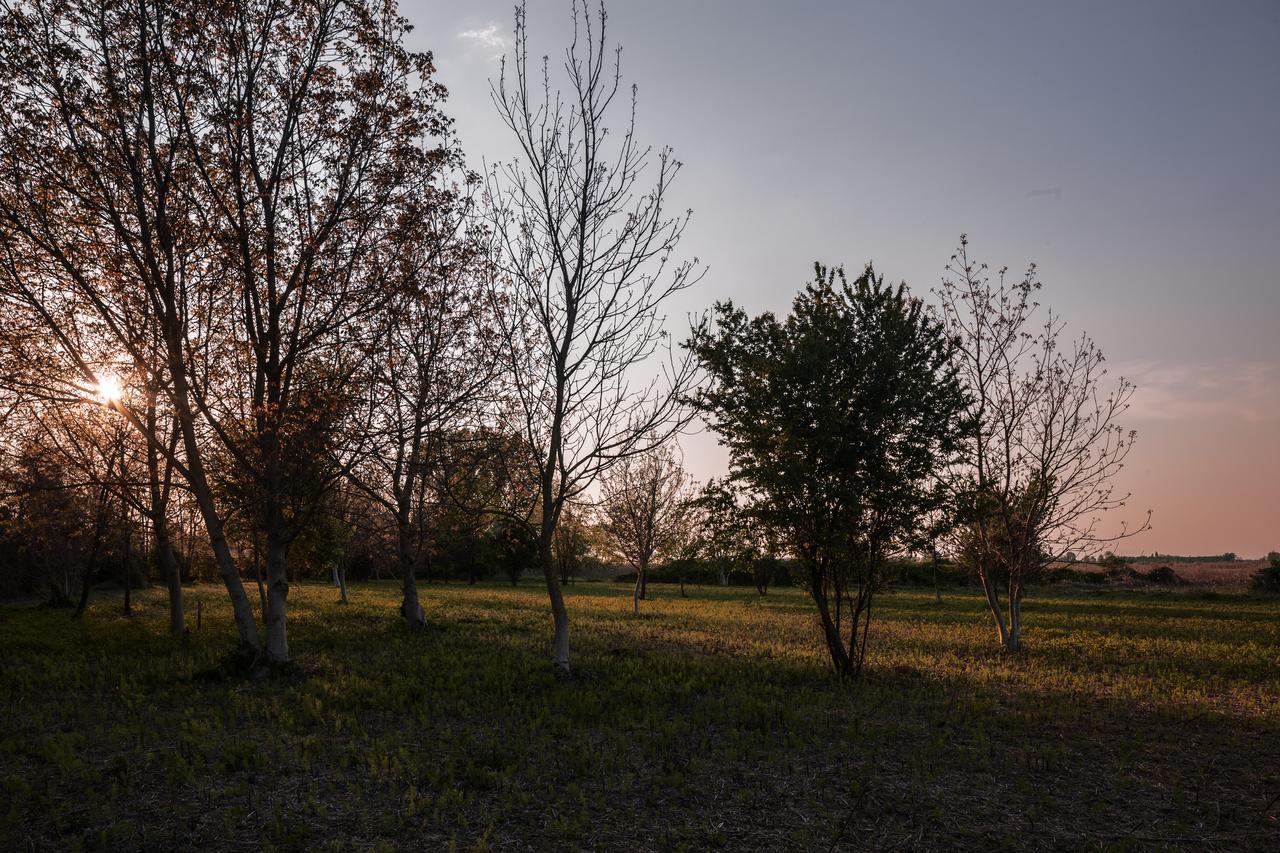 Hostel Cascina La Goliarda Curtatone Zewnętrze zdjęcie